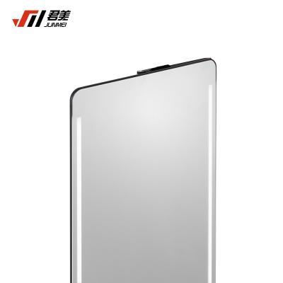 China Thickened Runner Wardrobe Pull Out Decorative Mirror With Led Lighting for sale