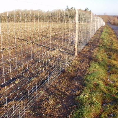 China Strongest Field Easily Assembled Cheap Farm Fence With Factory Price Fencing Posts Metal Field for sale