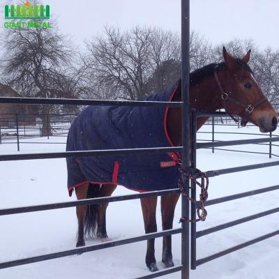 China Easily Assembled Heavy Duty Cattle Steel Piping Corral Panels Used As 3x3 Round Pen Galvanized Cattle Horse Fence Panel for sale