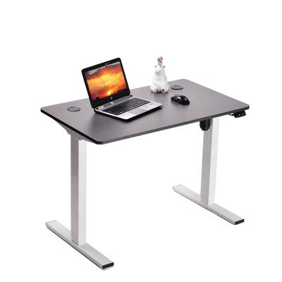 China Minimalist (Height) Adjustable Home Office Desk Mini Electric Standing Desk With USB for sale