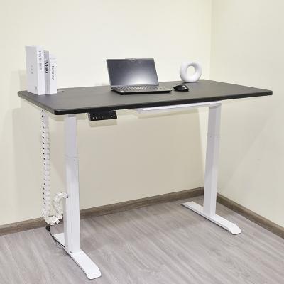 China Hot Selling Adjustable Office Furniture Modern Automatic Motor (Height) Double Standing Adjustable Desk for sale