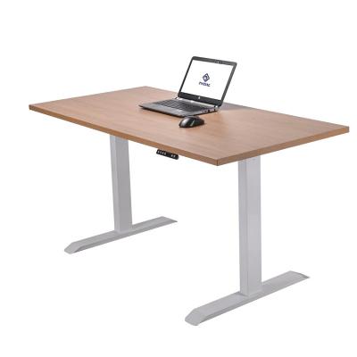 China Sit Stand Adjustable Office Computer Lift Table (Height) Adjustable Electric Furniture Double Motor for sale