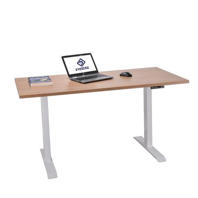 China Smart Adjustable Daul Motor Standing (Height) Office Lift Table From China Adjustable Professional Manufacturer for sale