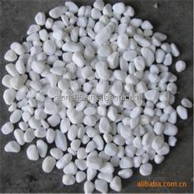 China Morden Factory Price Hot Sale White Tumbled Pebbles Washed Pebles for sale