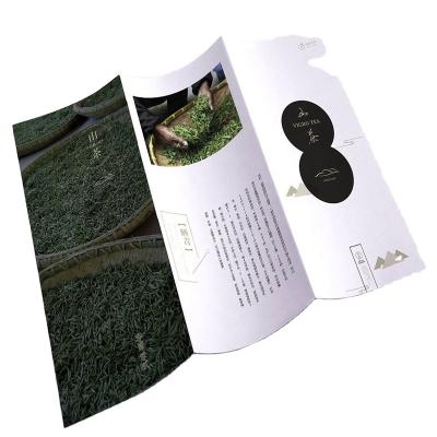 China Custom Display Advertising Brochure Printing Instruction Folding Leaflet Printing Service for sale