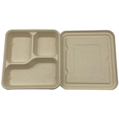 China MAOCHUN Cake 10 Inch 3 Compartment Disposable Microwavable Tableware Food Tray, with Bagasse Lid for sale