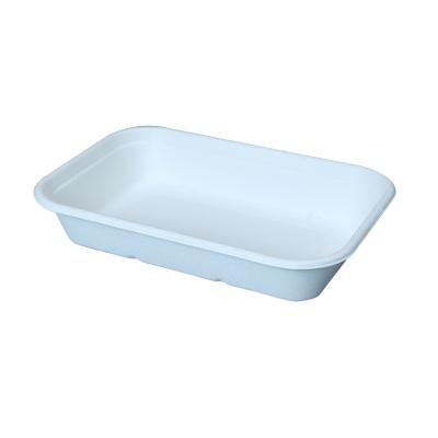 China MAOCHUN White Disposable Bamboo Cake Pulp Sugarcane Tray Food Container, Add Water And Oil Repellent for sale