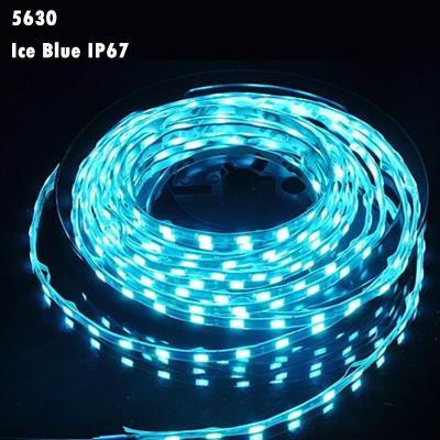 China LANDSCAPE 5MM 5630 Waterproof Ice Blue LED Strip 12V IP67 LED Rope Light for sale