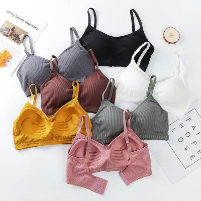 China QUICK DRY sexy bra push up bras for women wire free wireless seamless sexy lingerie Bralette cotton bra female bra for sale