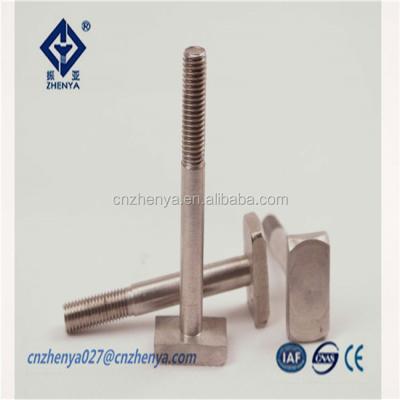 China T-head rail bolt, square head bolts and nuts fastenal catalog DIN 787 for sale