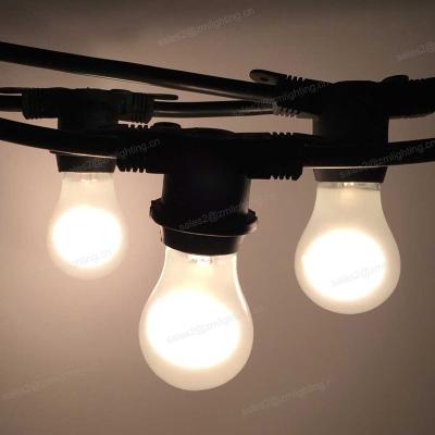 China Outdoor Waterproof Party Lights E26 E27 A60 G80 G125 Globe Ball Edison Festoon String Light for sale