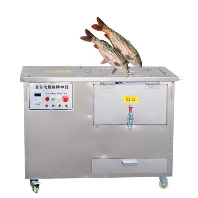 China Fish processing industries factory sales talapia cutting autolock fish killing production line fish girdle machine fish scale removing machine for sale