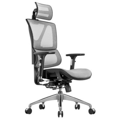 China Office Furniture China Adjustable Ergonomic Chair (Height) for sale