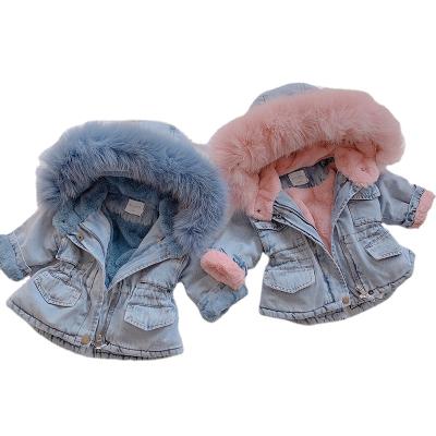 China 2020 New Winter Girls Breathable Korean Children Thickened Velvet Denim Kids Fur Collar Cotton Jacket Large for sale