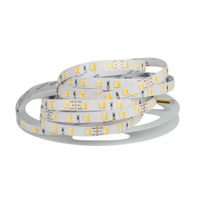 China Colorful LANDSCAPE Chase Led Light Strip Changing Variable Multicolor Strips R-G-B-W-WW for sale