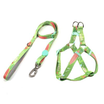 China Padded Dog Harness With Leash Set Printing Pattern Outdoor Pet Harness Leash for sale