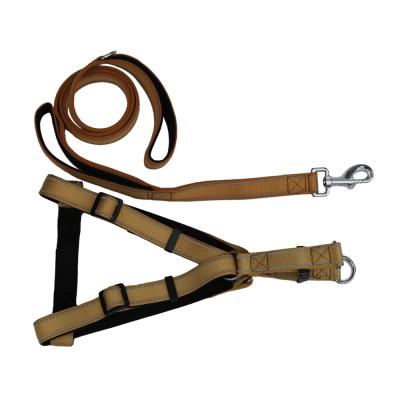 China Wholesale Best Quality Padded Thoughtful Adjustable Dog Harness For Going Around In The Night for sale