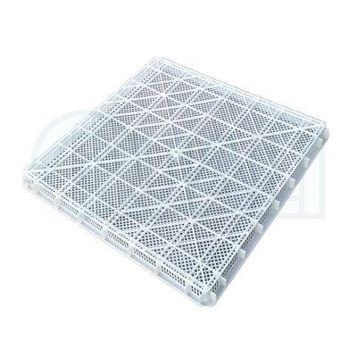 China Agriculture Tray Pet Seafood Recyclable Stacked Vented Frozen Freezing and Drying Tray for Tray Dryer for sale