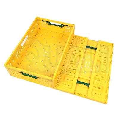 China Supermarket Vegetable Crate Eco-friendly Plastic Crate Easy Folding Collapsible Fruit And Vegetable Crate for sale