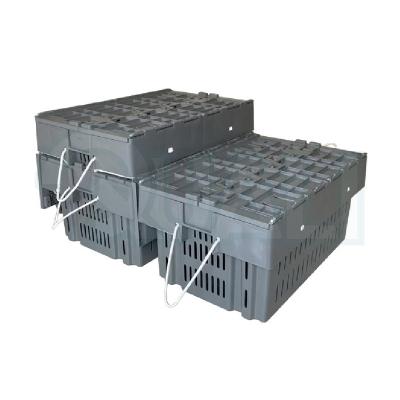 China Aquaculture Used Eco - Friendly Raw Material Gray Plastic Lobster Crate Lid Multi Storage Container for sale