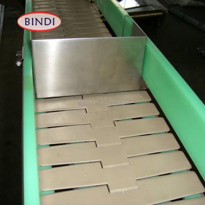 China Other Bottle Accumulation Plastic Slat Chain Conveyor for sale