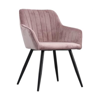 China Free Sample Factory Direct Modern Design Luxury Fabric Modern Pink Velvet Accent Dining Chairs With Gold Legs for sale