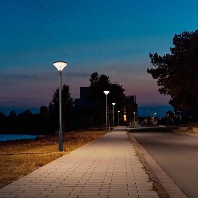 China Garden Fast Power Solar Power Led Solar Garden Street Light for sale