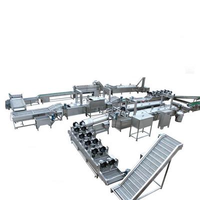 China Large Food Making Machines Easy Operation Early Potato Chips French Fries Production Line for sale