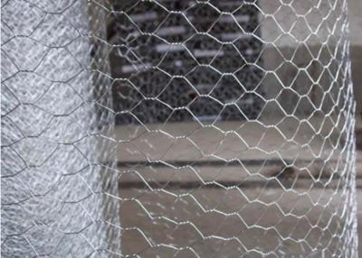 China 1/2“ Q195-HexuitdraaiKippegaas Mesh Fence For Fish Trap Te koop