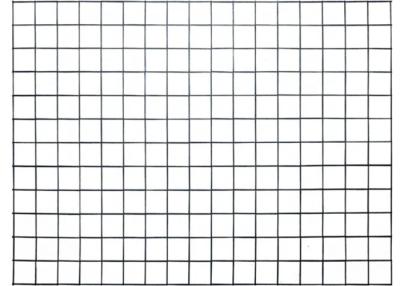 중국 50×50×2.5mm 금속 감금소 분말 입히는 철망사 패널 2.2m에 의하여 직류 전기를 통하는 강철 판매용