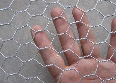 China Kleines Huhn Mesh Fence Coop Galvanized Wire Rolls des Loch-Bwg19 zu verkaufen