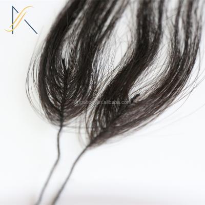 China Popular Silky Straight Wave In Market New Created Feather Shape Hair Extension for sale