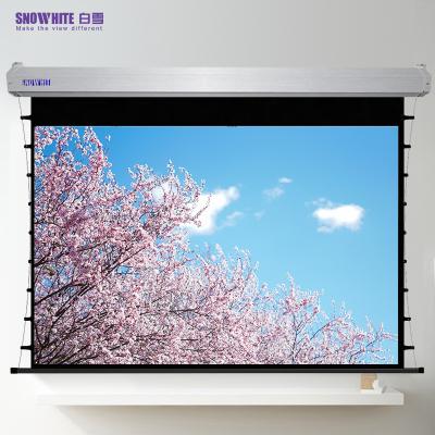 China 16:9 Long Throw View SNOWHITE BX-3V120CMXH-SR 120inch Alr Voltage Electric Projection Screen for sale