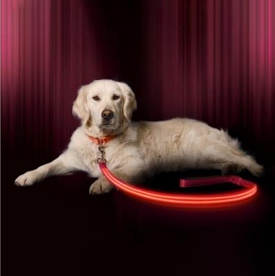 China Hot Sale 150CM Night Lights Fiber LED USB Rechargeable Dog Walking Leash for sale