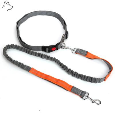 China Viable Hot Sale Thoughtful Hands Free Dog Leash And Collar Set Correa Manos Libre Perro for sale