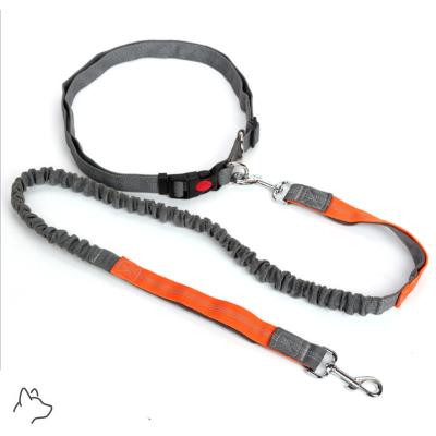 China Durable Hands Free Retractable Dog Leash For Running Durable Double-handle Bungee Leash for sale