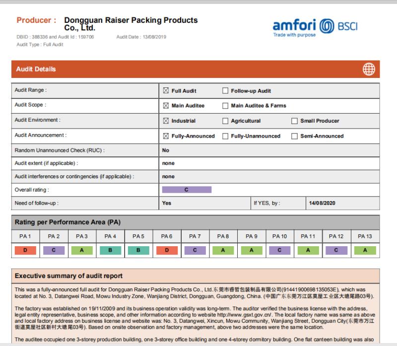 BSCI - Dongguan Raiser Packing Products Co., Ltd.