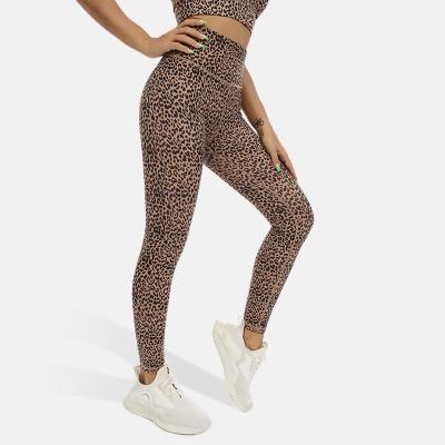 China Breathable Leopard Print Women High Waist Workout Fitness Gym Wear Clothes Yoga Pants Gaiters Nylon Spandex for sale