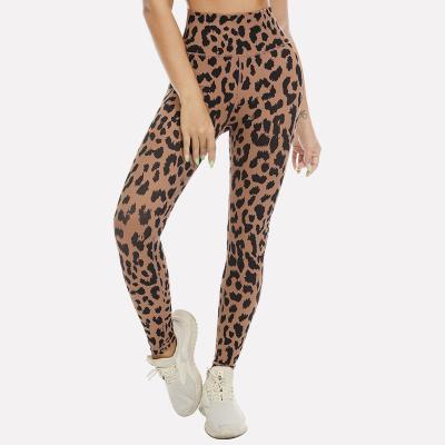 China Supplier Leopard Print Gym Leggings Antibacterial Workout Butt Crac! crack! lift up women yoga leggings for sale