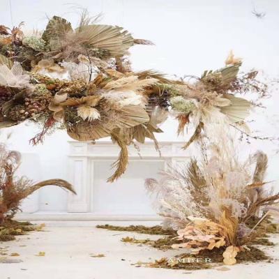 China DP-055 Primary Color Natural Color Dry Palm Leaf Dry Palm Leaf Large For Exhibition Nordic Style Hall Layout Flower Wall Design for sale