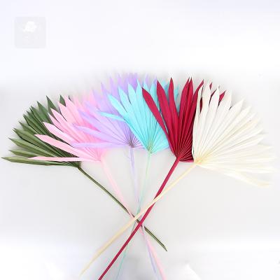 China DP-J007 wholesale natural palm leaf dried fan palm leaves for wedding decoration dry palm leaves for sale