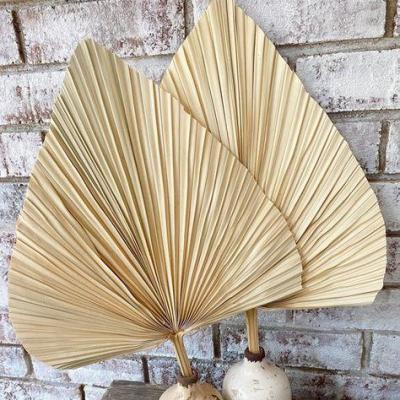 China JDP-030 natural palm leaf supply wholesale dry palm leaves wedding dried palm leaves for sale