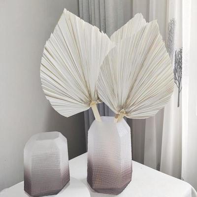 China JDP-058 Wholesale natural palm leaf dry white palm leaves dried palm leaves for sale