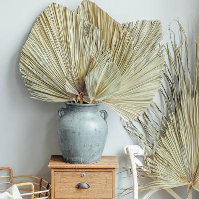 China DP-010 popular wedding party decorative natural dry palm leaves made of real natural palm leaf for home decor for sale