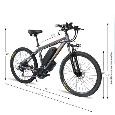 China European Standard Electric Bike 26