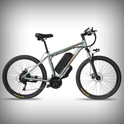 China European Standard Electric Bike 26