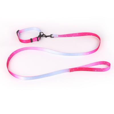 China Amazon Hot Selling Personalized Custom Made Polyester Printed Pet Collar and Leash Set for sale