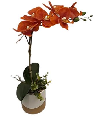 China Real Touch Real Touch Nature Modern Home Decoration Realistic PE+Real Touch Ceramic Round Orange Orchid PE Indoor Plants Pot 53cm(h) for sale