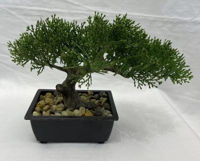 China New Design 17cm(h) Good Quality Green Realistic Indoor Contemporary Plastic Home Decoration Living Bonsai Trees for sale