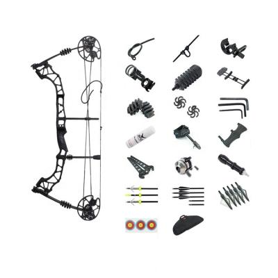 China Archery TIR Fishing Set Hunting Full Package Accessories K1 Archery Compound Bow Fishing Set for sale